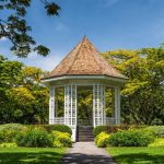 What Is Garden Lime and How to Use It to Help Your Plants Thrive