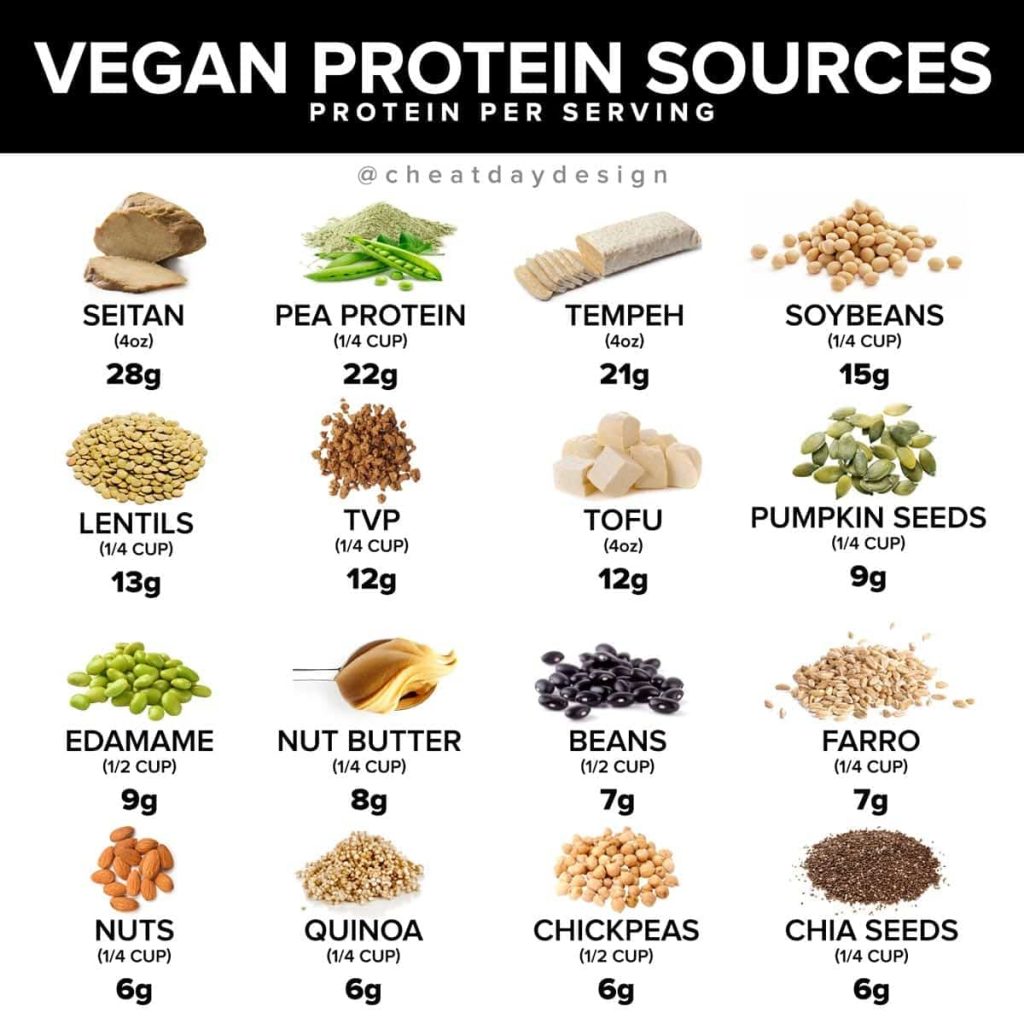 How to Maintain a Balanced Diet as a Vegetarian or Vegan