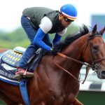 Opinion How Hong Kong is bucking the trend of a horse racing downturn South China Morning Post