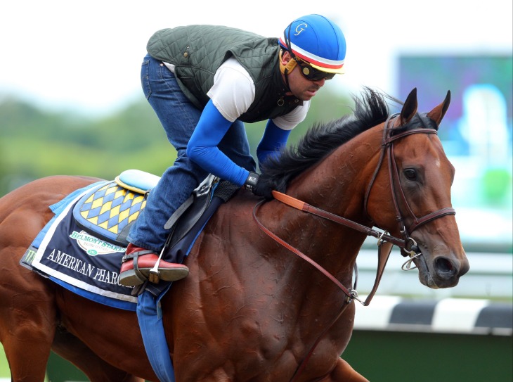 Opinion How Hong Kong is bucking the trend of a horse racing downturn South China Morning Post