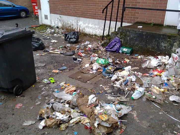 Expert Rubbish Removal Services on the Sunshine Coast
