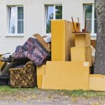 How Much Does Tree Removal Cost in 2024?