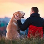 How Busy Dog Owners Can Still Care for Dogs