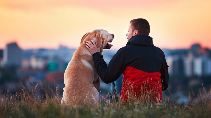 How Busy Dog Owners Can Still Care for Dogs