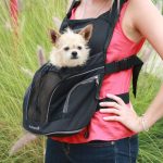 Traveling with Your Furry Friend: Finding the Perfect Dog Carrier