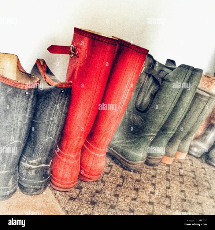 Stay Dry in Style with Wellies