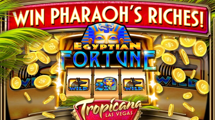 Experience the Thrills of Digital Gaming in the Virtual Casino World
