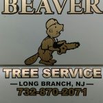 Nurturing Nature: Premier Tree Services in Monmouth County, NJ