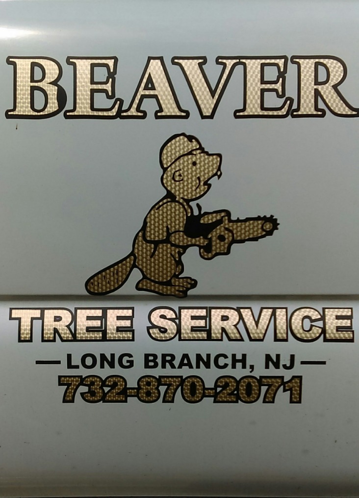 Nurturing Nature: Premier Tree Services in Monmouth County, NJ