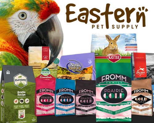 Elevate Your Pet’s Lifestyle with Exclusive Accessories
